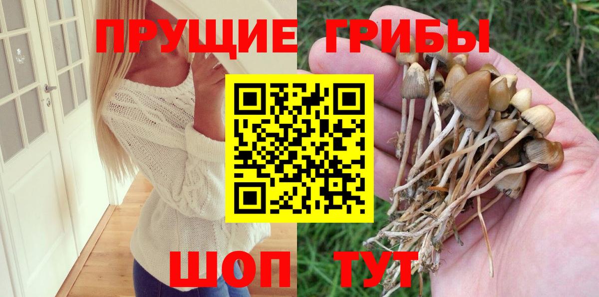 Псилоцибиновые грибы мухоморы Свободный